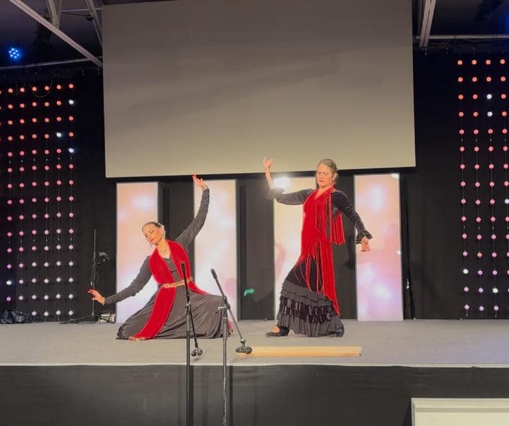 Diwali celebrations by Indian Association of Greater Zurich on 30 November 2024