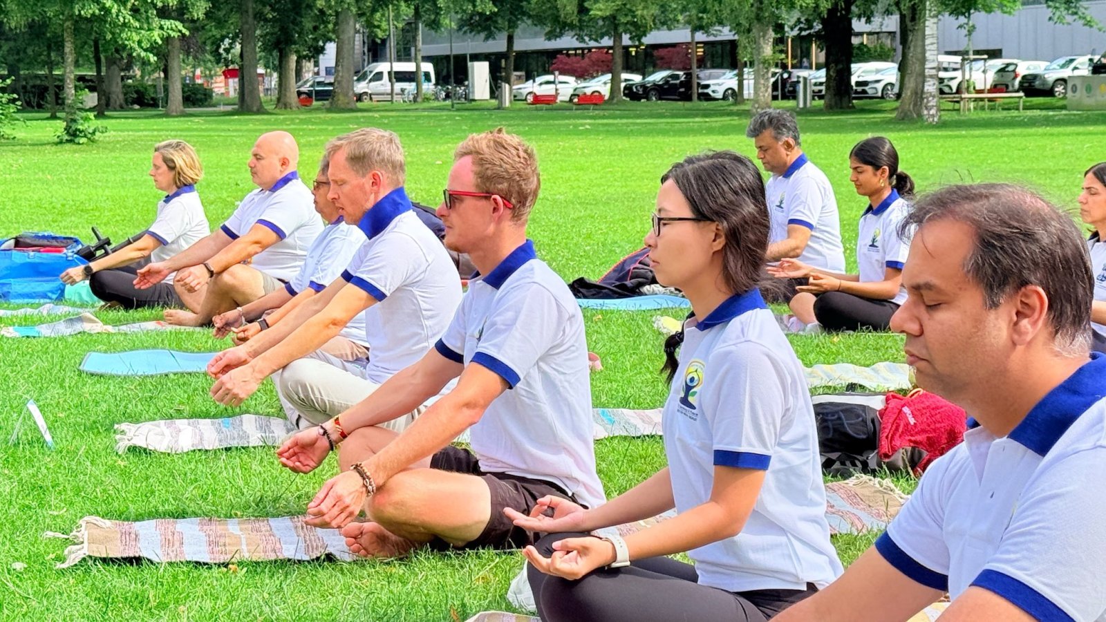 12th International Day of Yoga celebrations at Luzern on 6 June 2026