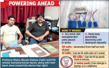 IIT-Kgp turns onion skin into electricity